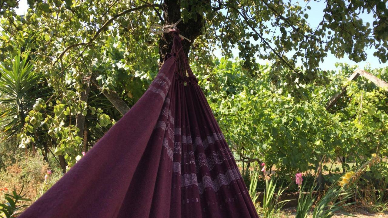 Dds-Dominio Das Sem&Ntes Vouzela Esterno foto